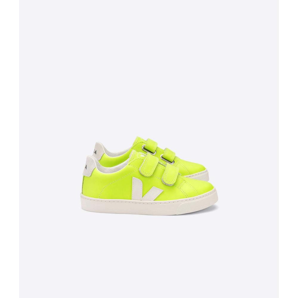 Kids\' Veja ESPLAR LEATHER Sneakers Green | SG 822VRW